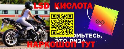 стаф Кинель
