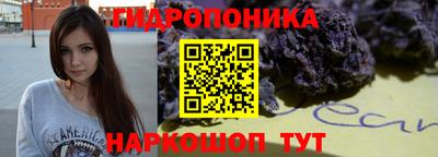 стаф Кинель
