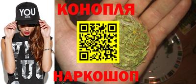 стаф Кинель