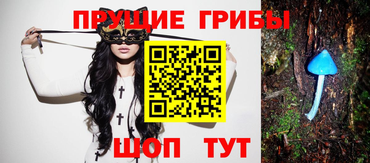 Красногорск  как найти закладки  Вход с VPN  Галлюциногенные грибы мицелий  Псилоцибиновые грибы Psilocybe 