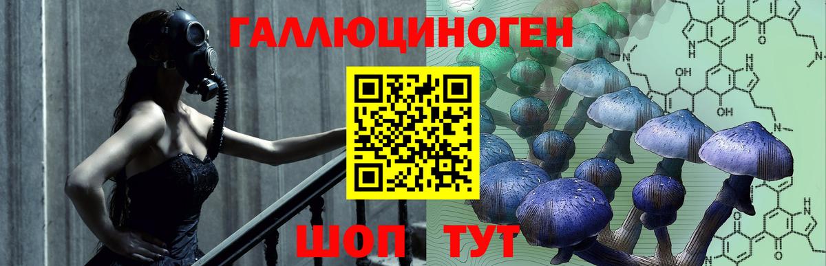 Галлюциногенные грибы мицелий Красногорск